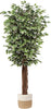 Artificial Ficus Tree 6Ft in Pot Fake